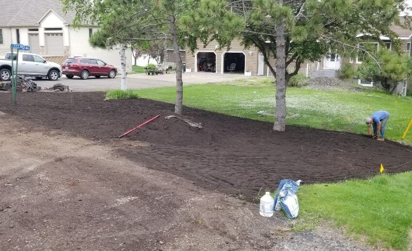 Professional Tree Planting Expert Ensuring Proper Maintenance – Tree Planting Service in Minnetonka