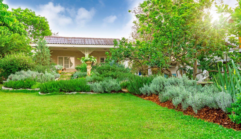 Best Trees to Plant in Apple Valley & Burnsville, MN (2026 Minnesota Climate Guide) 1 Landscaped Minnesota front yard with newly planted trees and shrubs