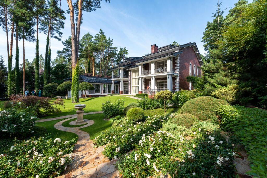 How to Choose the Best Tree for Your Yard: A Complete Guide 2 pexels heyho 7174105